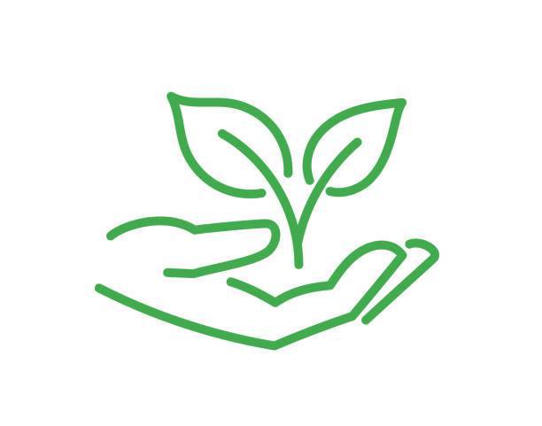 image 28 10 25 01 10